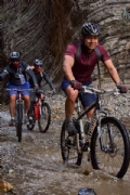 J3806656
