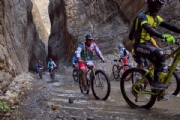 S3805566