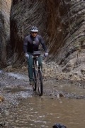 W3805216
