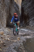W3805877