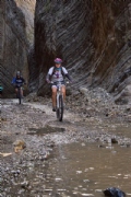 W3805994