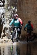 I3808235