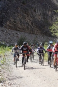 Y3809222