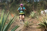 P3424437