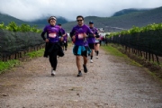 T3811493