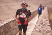 D3826446
