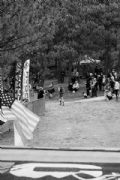 P3863336