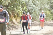 T3859932