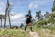 Q3855785