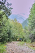 C3857477