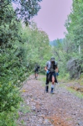 T3859532