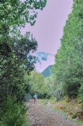 V3858341