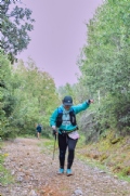 W3859339