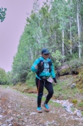 W3859484
