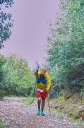 Y3858427