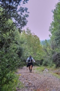 Y3859117