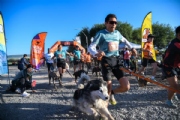 D3828363
