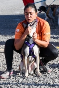 W3827258