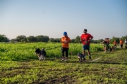 D3828876
