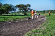 T3829220