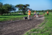 T3829254