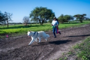 X3829117