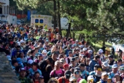 C3864878