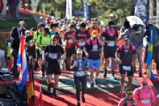 D3864371