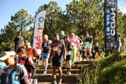 L3843281