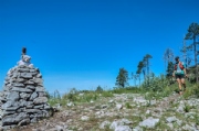 S3868550