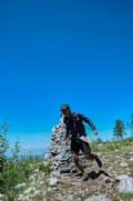W3868399