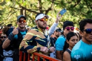 W3854374