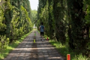 N3829919