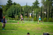 T3837895