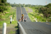 A3833374