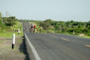 C3833432