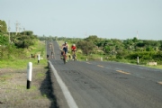 C3833457