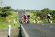 F3833263
