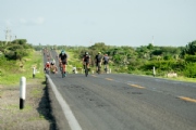 G3831520