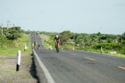 O3832978