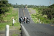 S3831351