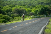 S3831917