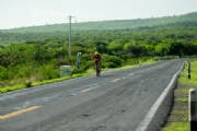 S3833227