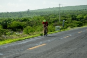 S3833245