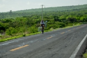 S3833282
