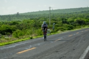 S3833320