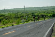 S3833446