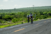 S3833516