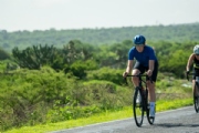 W3831516