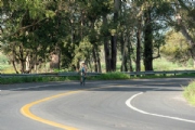 K3833975